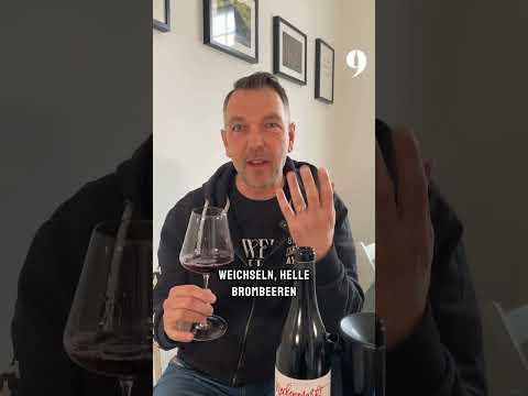 Verkostungsvideo Gober & Freinbichler - Neckenmarkt Blaufränkisch 2021