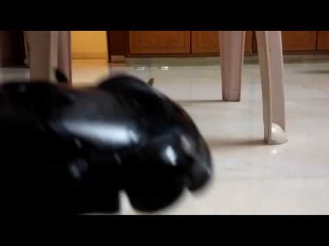 Hummer vs Ferrari toy race