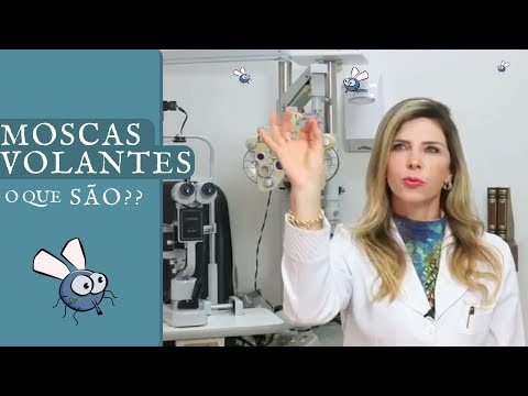 Moscas Volantes - O Que São Moscas Volantes