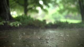 Rain sounds for sleeping or studying | 12 hours