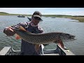 Video Thumbnail for 39 Inch Northern Pike