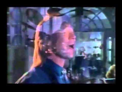 Love - Petra