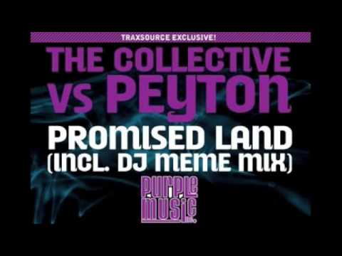 The Collective vs Peyton - Promised Land DJ - Original Mix