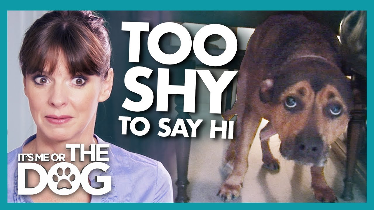 YouTube video preview