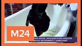 Москва24: 