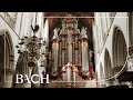 Bach - Fughetta: Das Jesulein soll doch mein Trost BWV 702 - Jacobs | Netherlands Bach Society