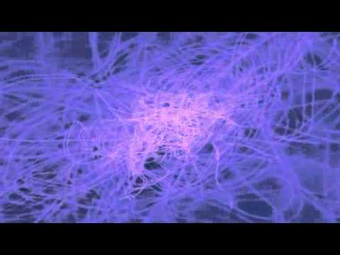 Vegas Soul - Junk Funk