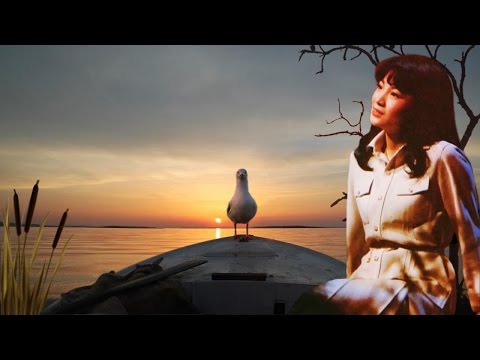 鳳飛飛 - 兩相依