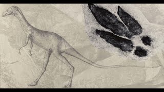 Dinosaurs, Meteorites, and Rock Formations: Prehistoric Adams County