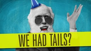 Things Our Bodies Used To Have