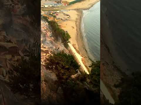 Incendio forestal: Drone registra la magnitud de los daños en Penco | 24 Horas TVN Chile