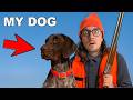 I Trained The Ultimate Hunting Dog