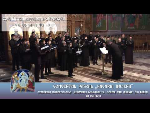 Te Deum Laudamus - Axion duminical gl. 5 - Catedrala Arhiepiscopală din Buzău - 2013
