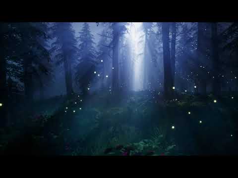 Firefly Forest | Study, Focus, Sleep, Meditate, Sensory, Screensaver