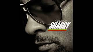 In the summertime - Shaggy (Reggae)