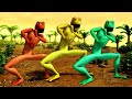 PATILA THE DUSK CALL DANCE FUNNY COMPILATION 4