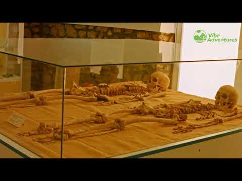 Discover Ancient Mexico on the Anthropology Museum Tour