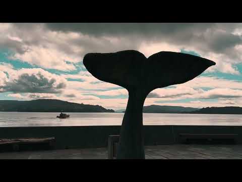 Corral, Valdivia. Región de los Ríos. 