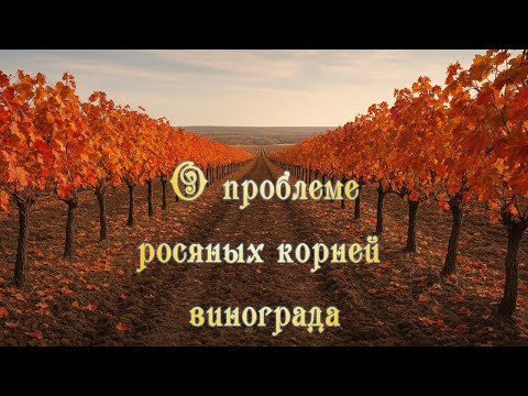 (N) Гранель - Общий - Выгода До 9% (До 31.07) July 25