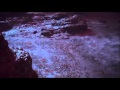 Intro THX