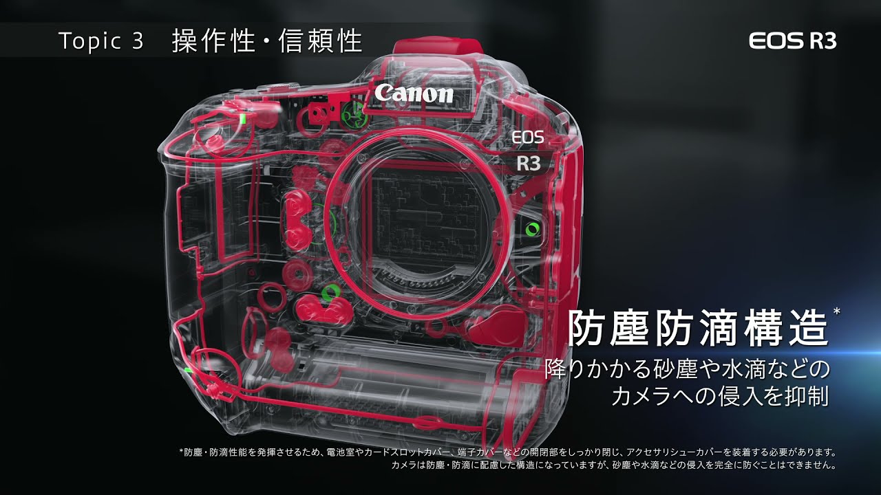 Nikon Z30本体のみ ショット数2946枚 【公式通販】