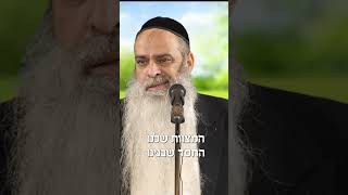 האם טראמפ שיחרר את החטופים? #הרב_רפאל_זר (הרב רפאל זר) - התמונה מוצגת ישירות מתוך אתר האינטרנט יוטיוב. זכויות היוצרים בתמונה שייכות ליוצרה. קישור קרדיט למקור התוכן נמצא בתוך דף הסרטון