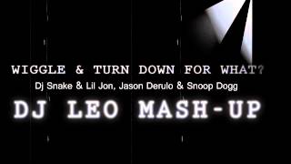 Turn Down For What &amp; Wiggle - DJ Snake &amp; Lil Jon | Jason Derulo &amp; Snoop Dogg (Dj Leo Mash-Up