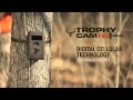 Bushnell Trophy Cam HD Video #1