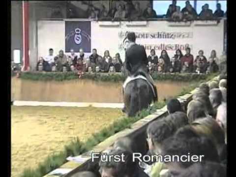 Furst Romancier - Elite Stallions