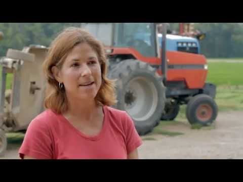 How Rice Becomes Rice Krispies® Cereal