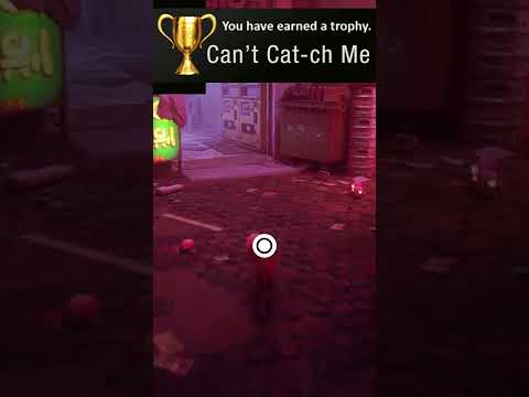 Can't CAT-CH this Cat! (Most Difficult Trophy in Stray) | PLATINUM HUNTERS #shorts