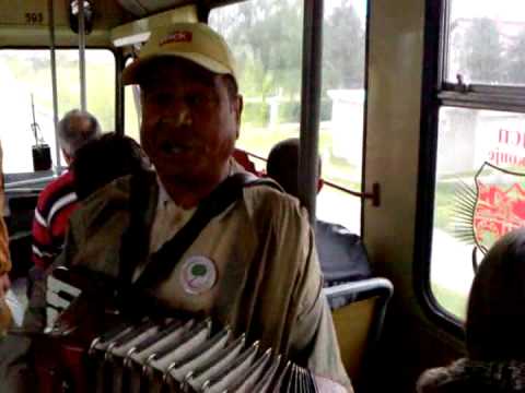 cao bambino u jsp u 53