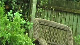 Over the Pond - The Album Leaf