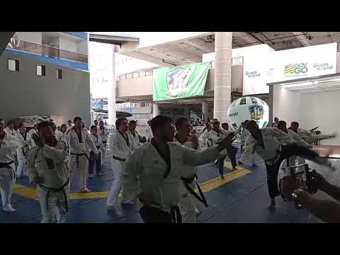 Taekwondo indiara-goias, seminário de poomsae 2026 da liga nacional e FECOT. 