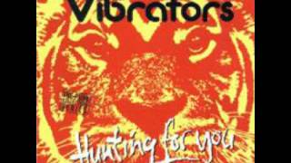The Vibrators -  Another Day Without You