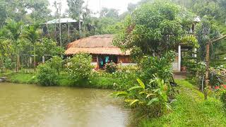 preview picture of video 'Sound of Rain | Shanti Bari Eco Resort | Sreemangal | Yearly Breakout Sessions | April 27-28, 2018'