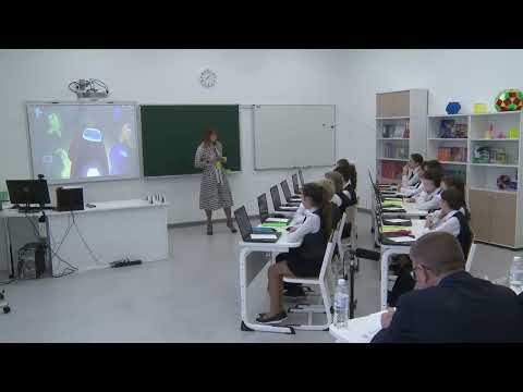 Урок математики, Гончарова И. В., 2021