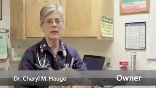 preview picture of video 'Desert Veterinary Clinic PLC - Short | Yuma, AZ'
