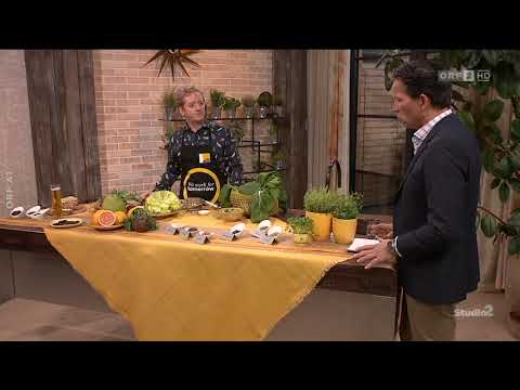 Bockshornklee & Bitterstoffe - ORF Studio 2 Geschmackslabor