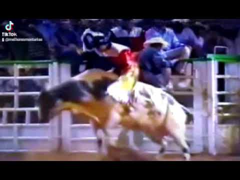 ODAIR CORDEIRO X FESTIVAL - RODEIO DE PARANACITY 1997