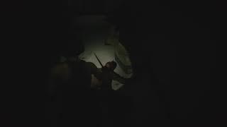 BIOHAZARD3