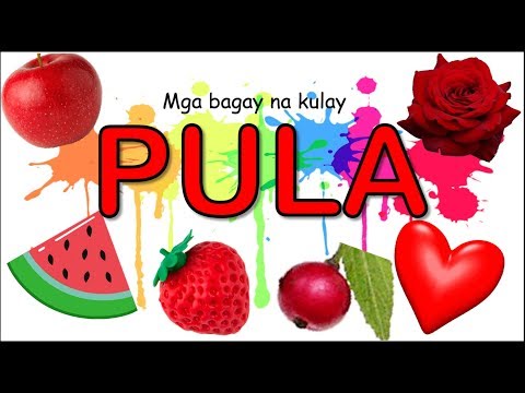 Clenbuterol paano mag-apply para sa nasusunog taba Mga review tungkol sa slimming belt Ms. Belt