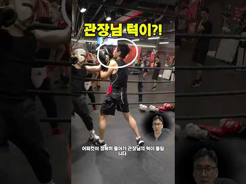 요즘 보기 드문 관장님 직접 스파링… 회원 투지가 미쳤습니다 또 일어남 #현실스파링 #관장vs회원 #진심모드  #40대아재복서