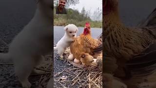 Download lagu https://youtube.com/shorts/j7QMiRIjbA0?si=PvvQfSj-Zu6L3GHg mp3