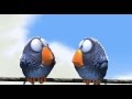 Pixar For The Birds 2000