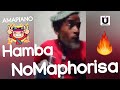 Hamba NoMaphorisa (Original Video) | Ke Dezemba Bosso Amapiano 2019