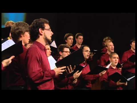 PAZ Vinko Vodopivec - Tam, kjer pisana so polja (Danilo Bučar)