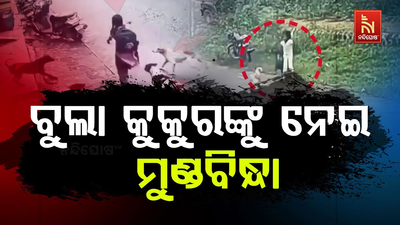 ବୁଲା କୁକୁର ମାମଲା: ସୁପ୍ରିମକୋର୍ଟରେ ରାୟ ସଂରକ୍ଷିତ | Nandighosha