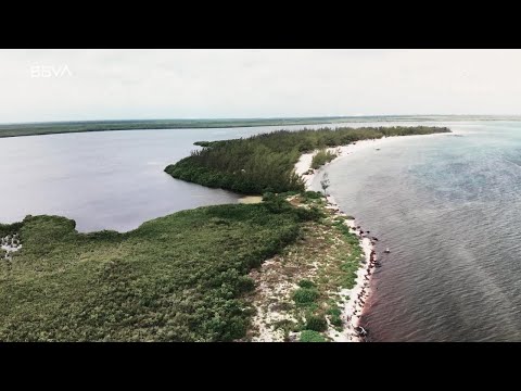 Restauración Cozumel