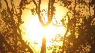 Brighten the corner where you are